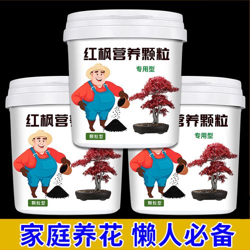 红枫与绿植的四季营养密码 家庭园艺专用复合肥料全解析