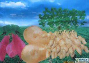 大量0掺混肥料与复合肥料 精细化学品视角下的选择与鉴别指南